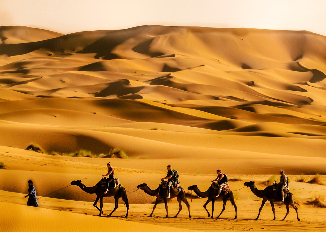 The world’s second superpower, the kingdom of saudi arabia